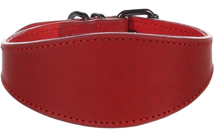 Flamingo Collier Lévrier Denver Rouge