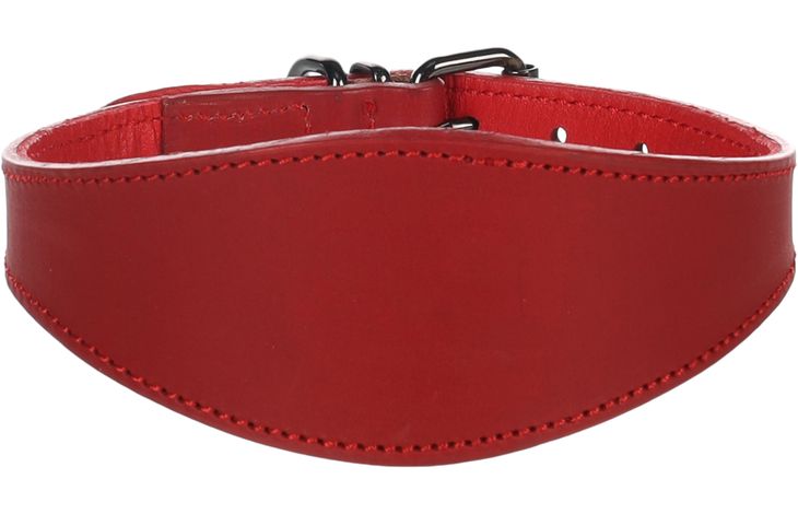 Flamingo Collare Levriero Denver Rosso
