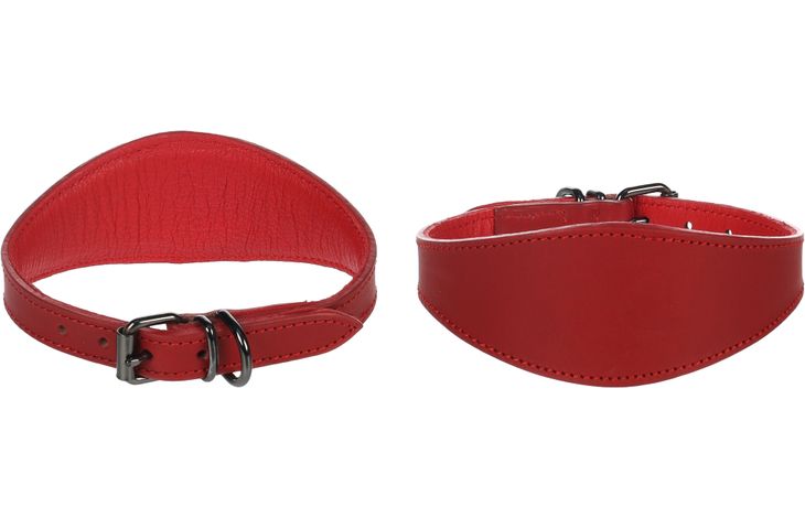 Flamingo Collare Levriero Denver Rosso