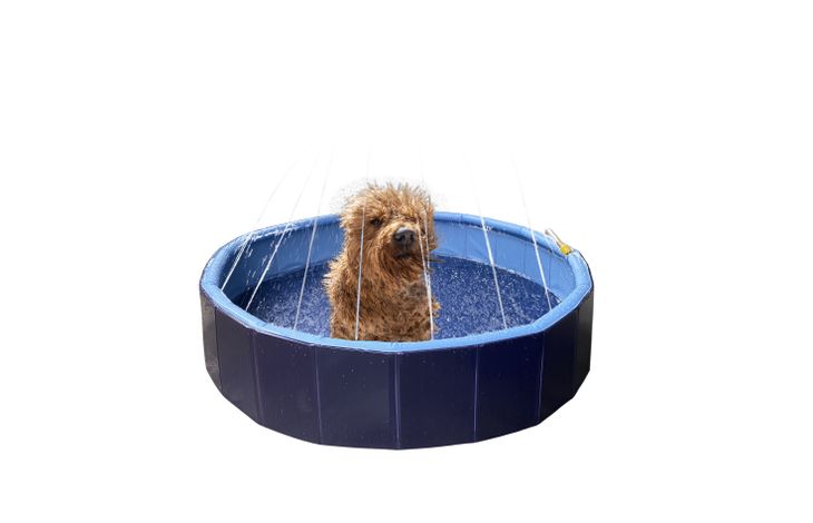Flamingo Zwembad Sprinkle Rond Blauw & Donkergrijs
