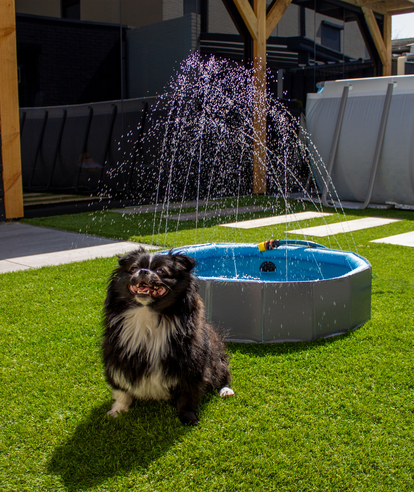 Flamingo Swimming pool Sprinkle Round Blue & Dark grey