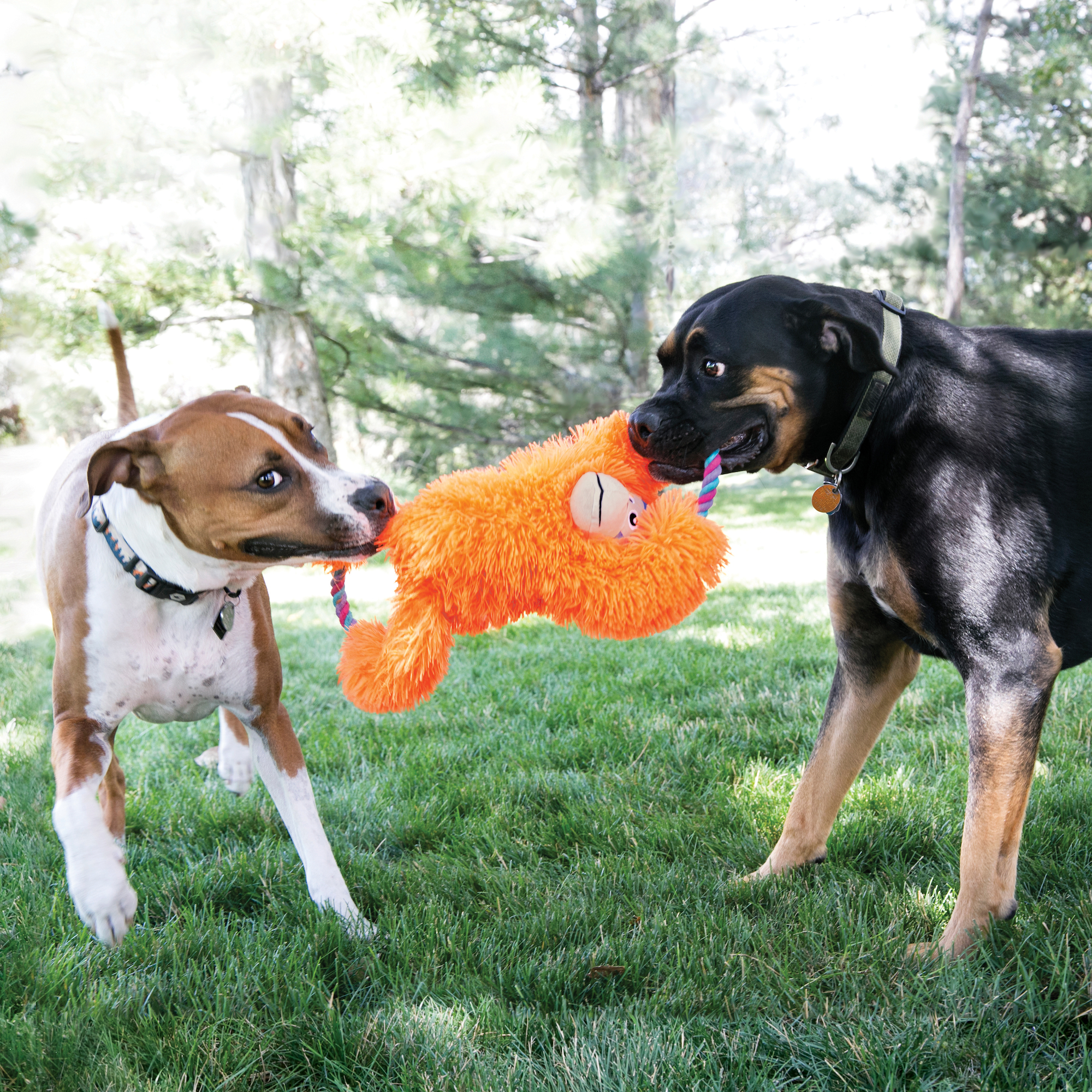 Orange monkey dog outlet toy