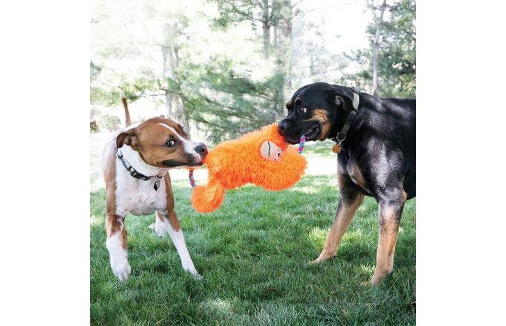 Kong® Kong® Toy Tuggz Monkey Orange
