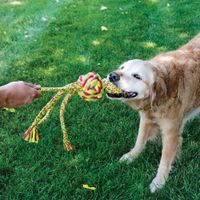 Kong® Kong® Speelgoed Wubba Knoopbal Meerdere kleuren