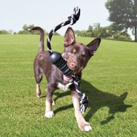 Kong® Kong® Speelgoed Extreme met touw met bal Zwart