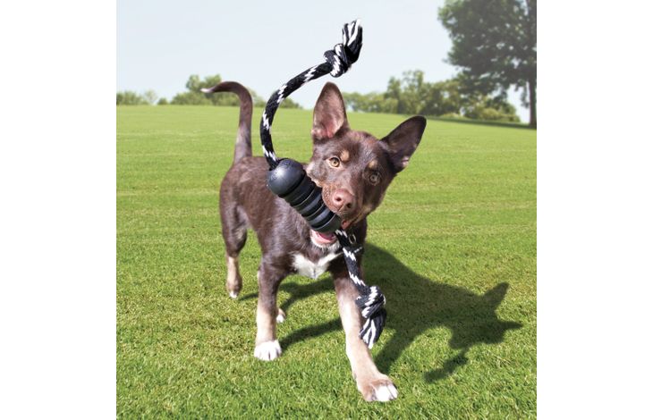 Kong® Kong® Speelgoed Extreme met touw met bal Zwart