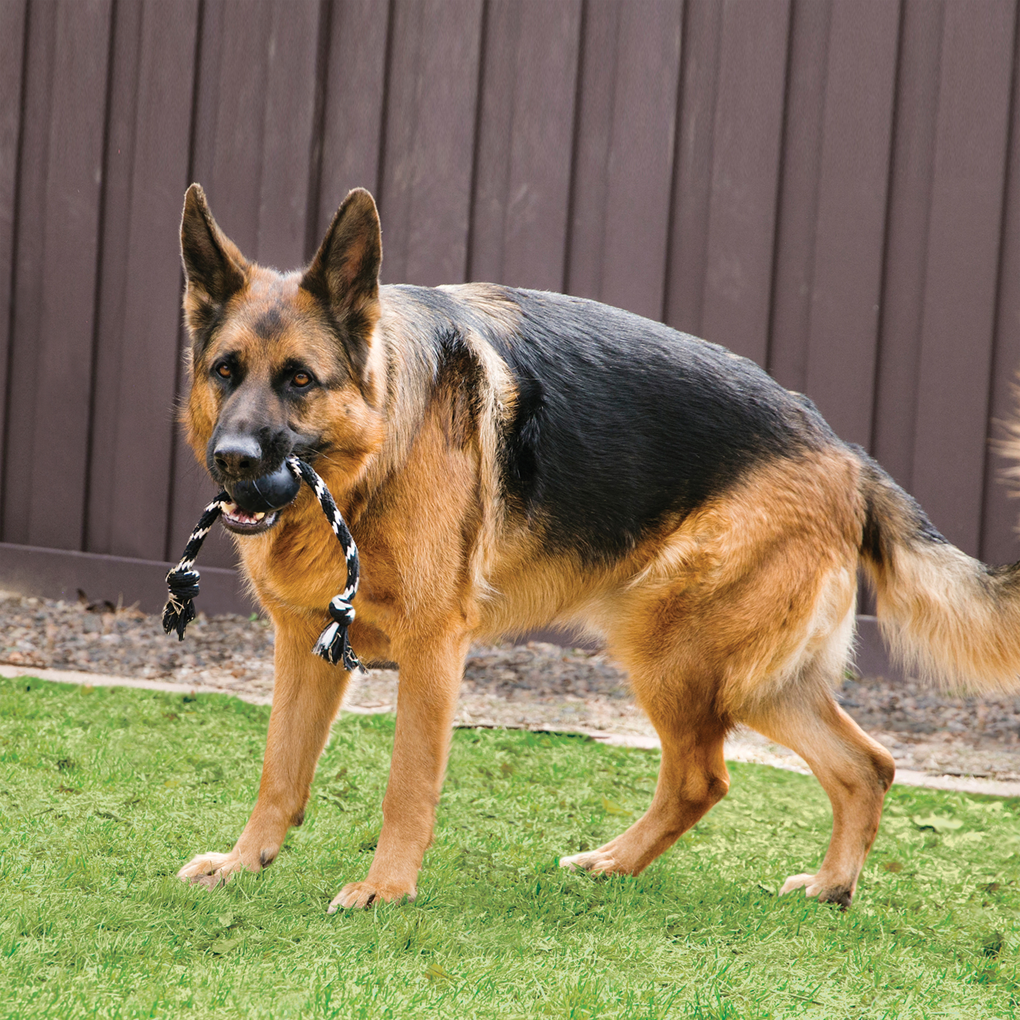 Kong® Kong® Toy Extreme with rope with ball Black