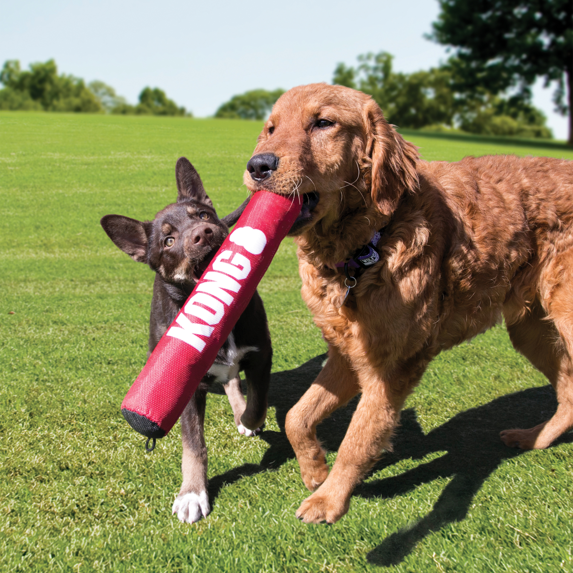 Red best sale kong toy