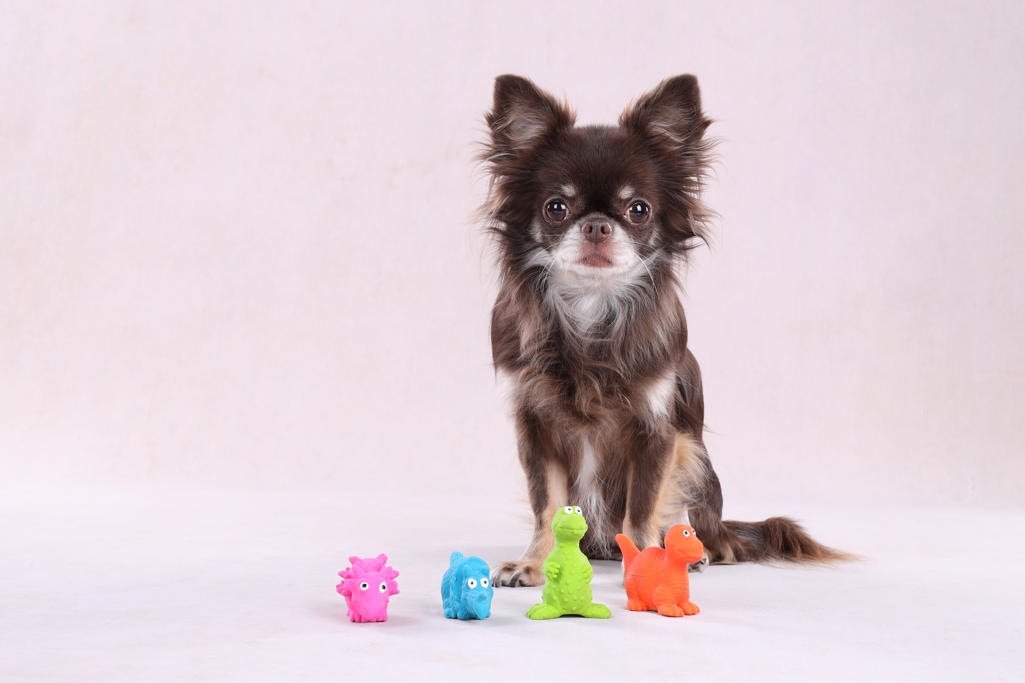 Flamingo Toy Donnie Dinosaur Multiple colours