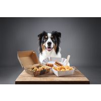 Flamingo Snack Fast Food Hotdog met kip 