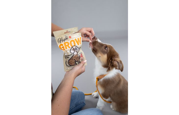 Flamingo Snack Hapki Grow Blokjes met kip 