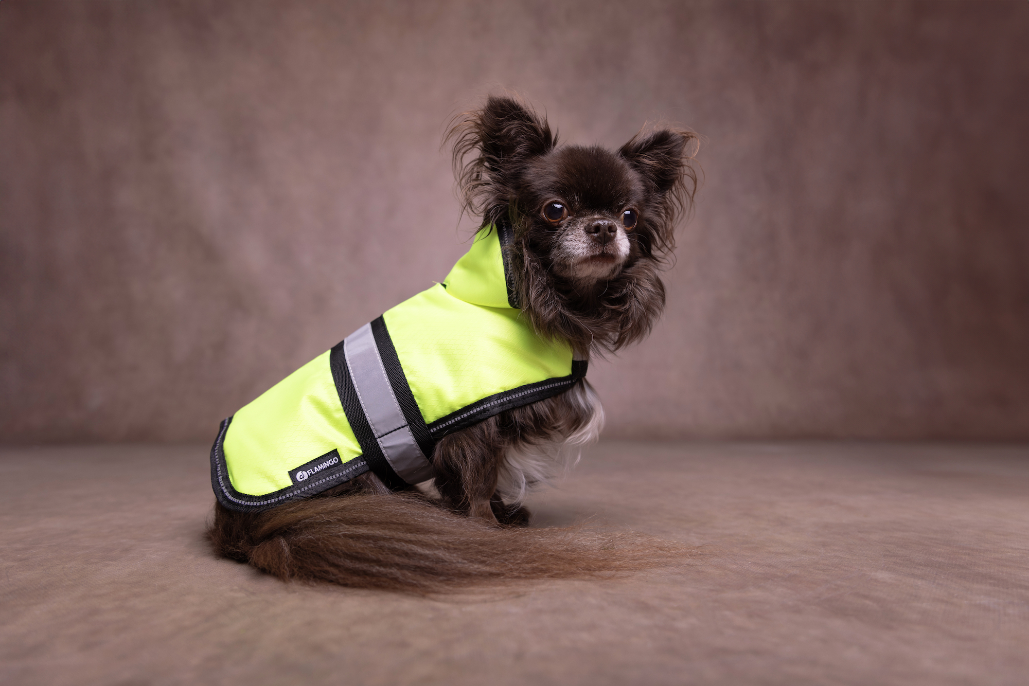 Flamingo Winter coat Eisbär Fluo yellow