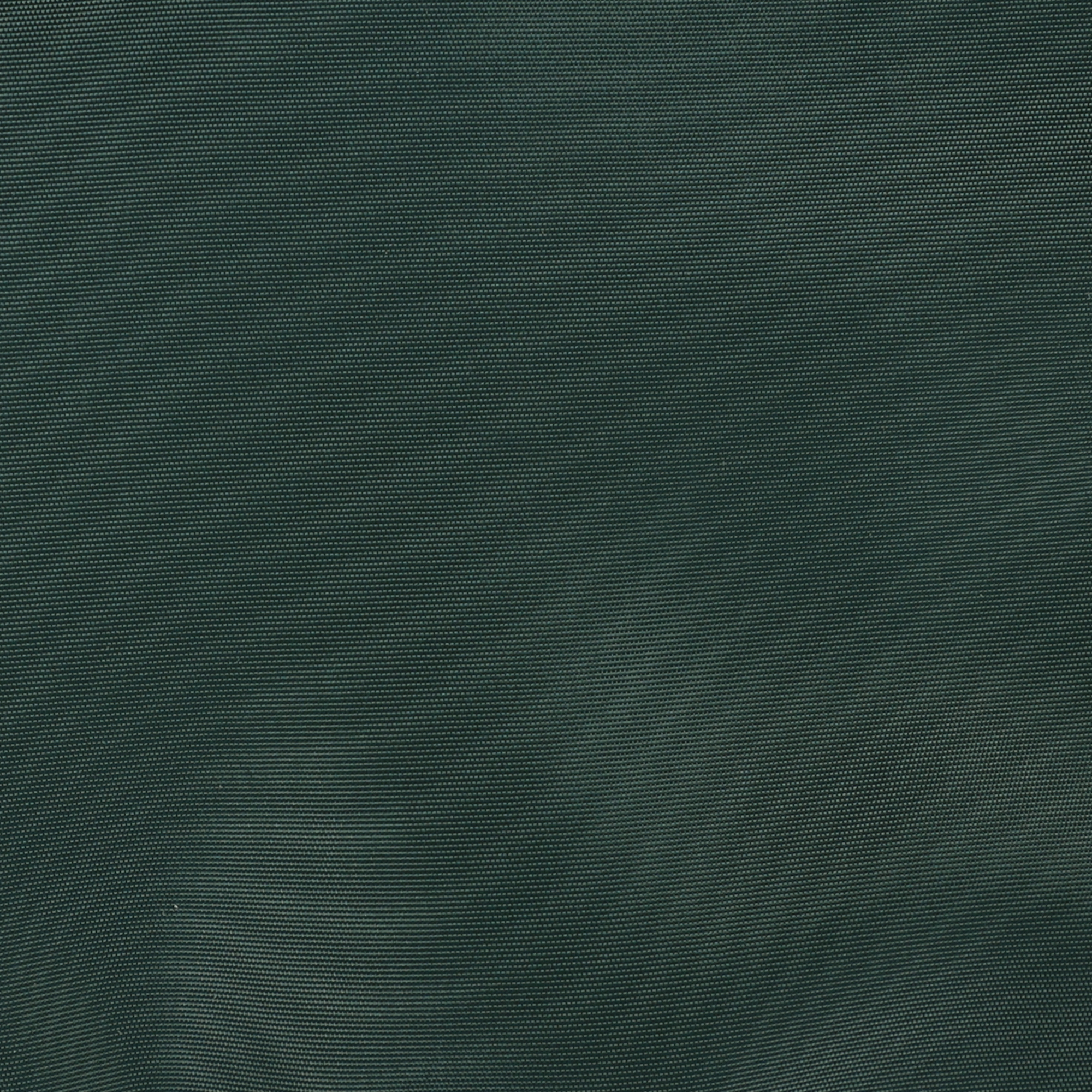 Flamingo Winter coat Kimo Green