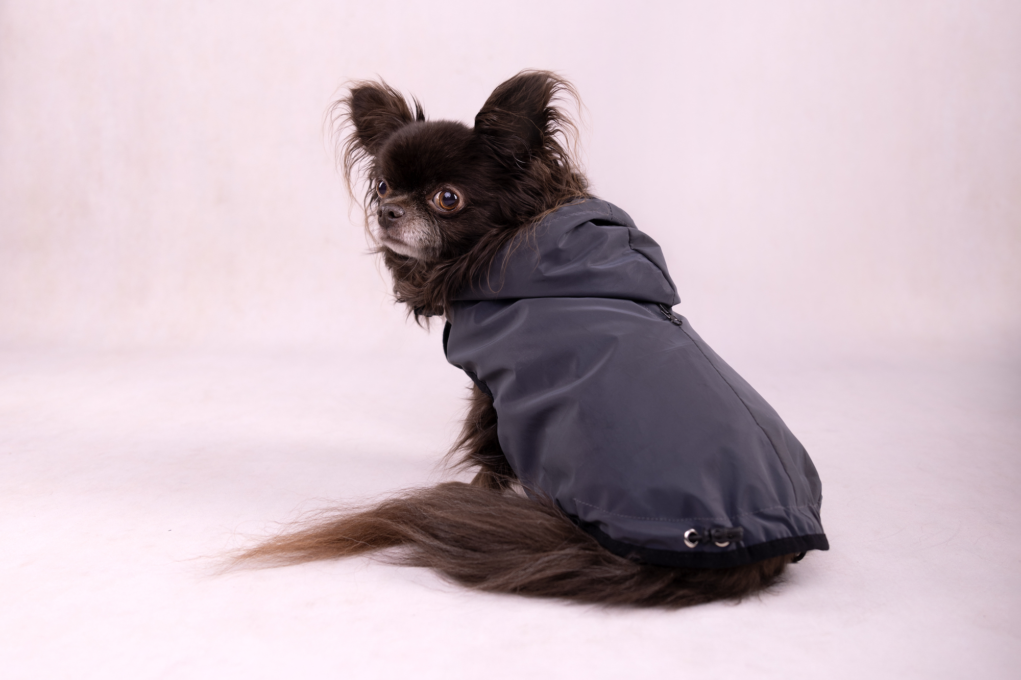 Flamingo Coat Luza Grey