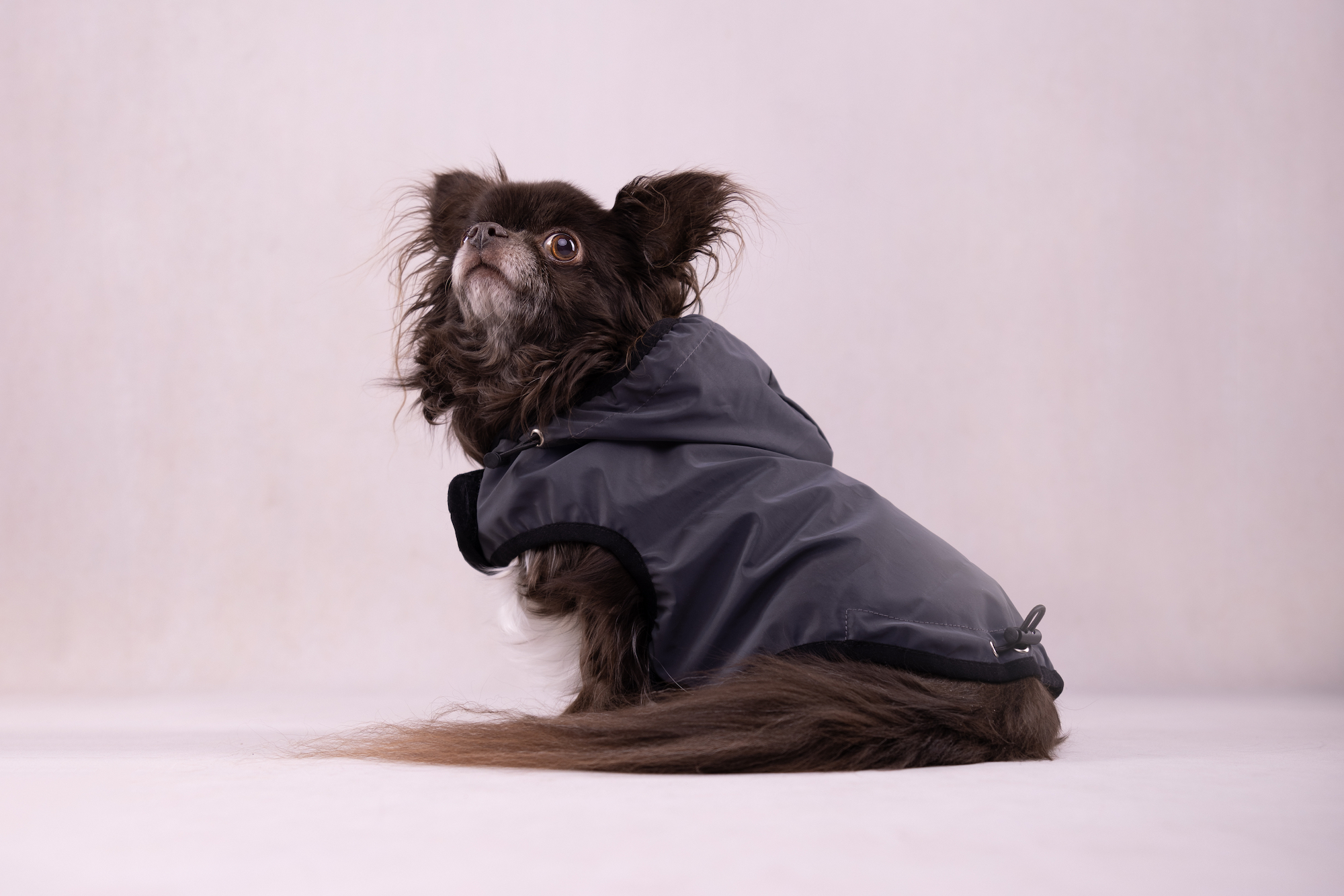 Flamingo Coat Luza Grey