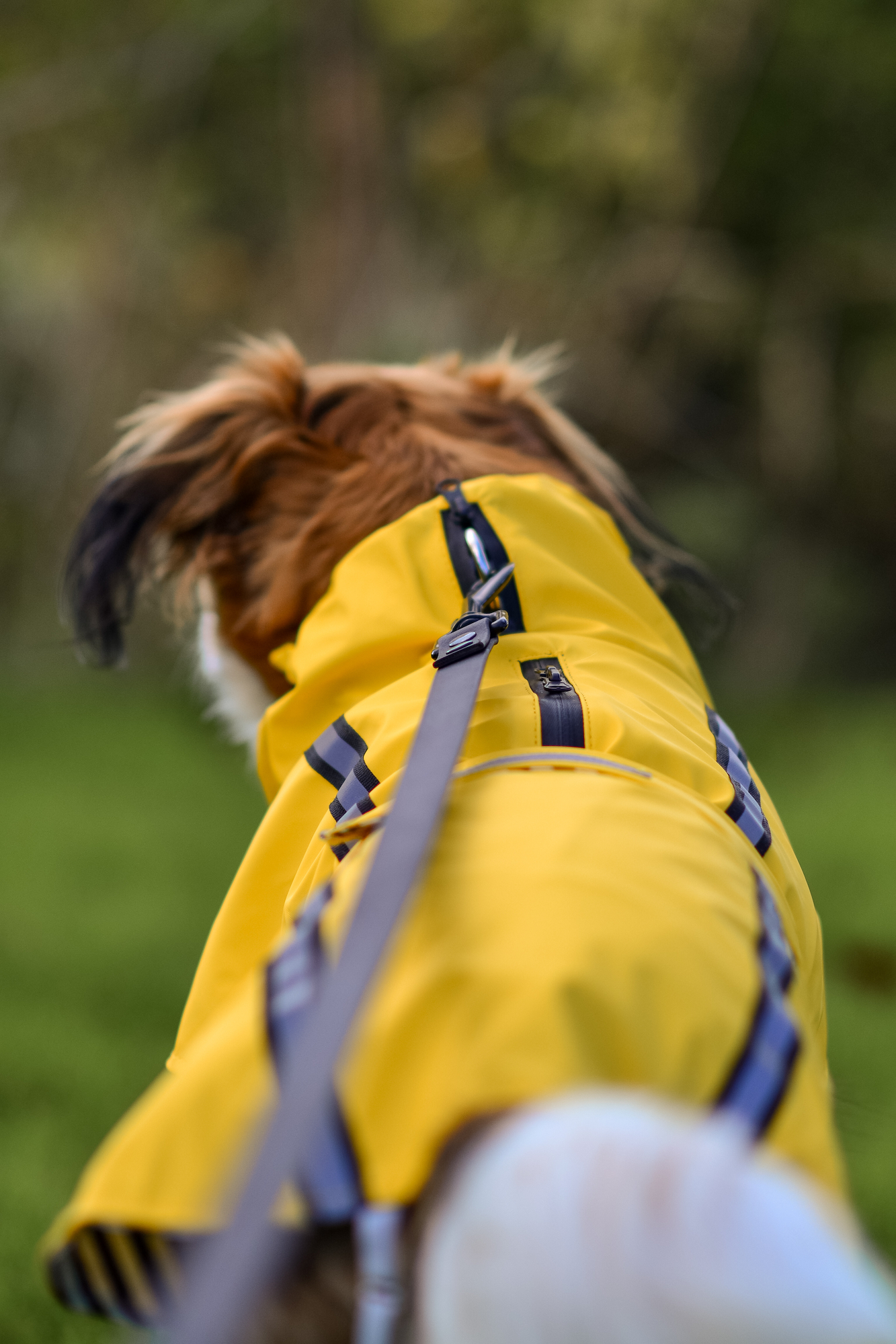 Flamingo Raincoat Ciro Yellow