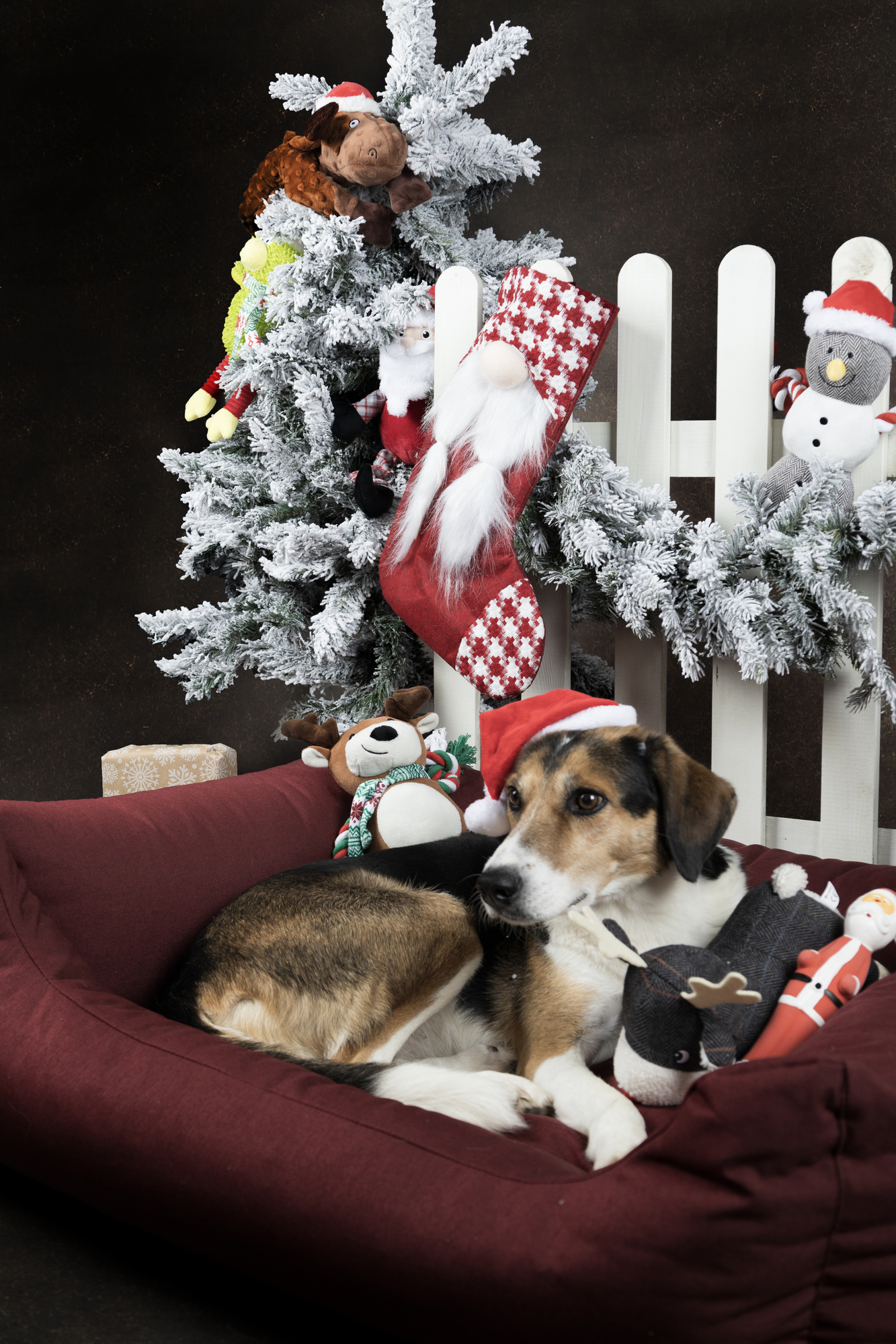 Flamingo Christmas Toy Barda Gnome Sock Multiple colours 