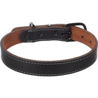 Flamingo Halsband Montana Zwart