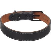 Flamingo Halsband Montana Zwart