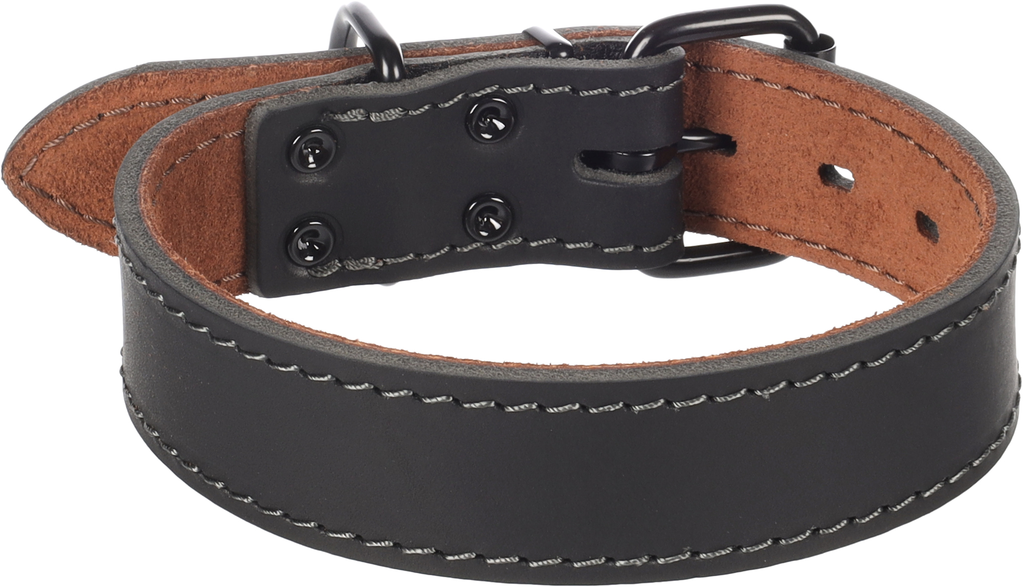 Flamingo Collar Montana Black