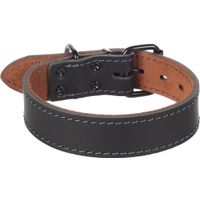 Flamingo Halsband Montana Zwart