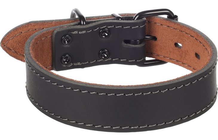 Flamingo Halsband Montana Zwart