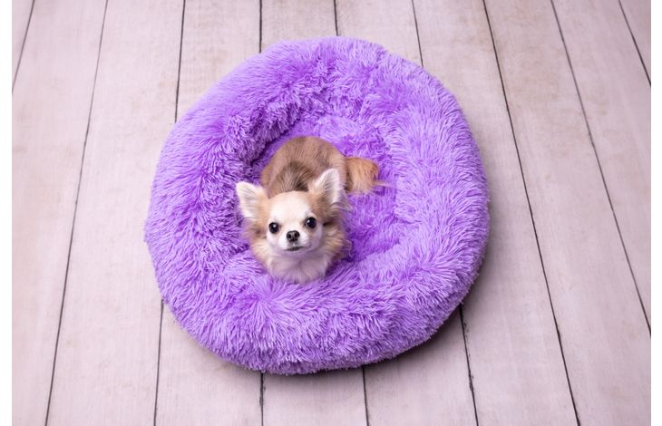 Flamingo Korb Krems Rund Violett