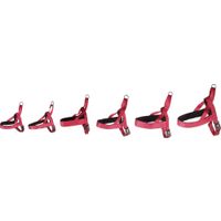 Flamingo Harnas Noors Abbi Kersenrood