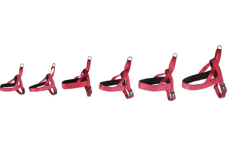 Flamingo Harnas Noors Abbi Kersenrood
