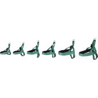 Flamingo Harnais Noors Abbi Vert foncé