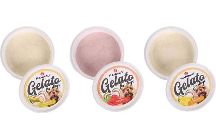 Flamingo Snack Gelato Ijs met ananas- & banaan- & framboossmaak