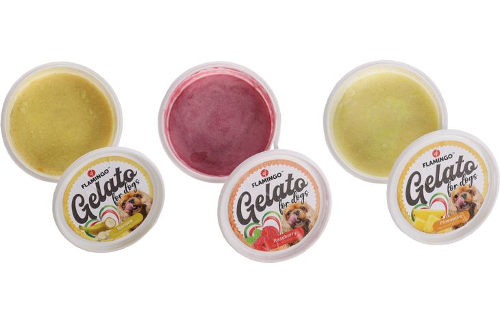 Flamingo Snack Gelato Ijs met ananas- & banaan- & framboossmaak