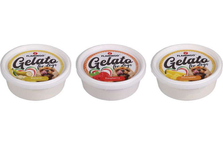 Flamingo Snack Gelato Ijs met ananas- & banaan- & framboossmaak