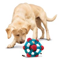 Kong® Kong® Speelgoed Rewards Tinker Kubus Blauw