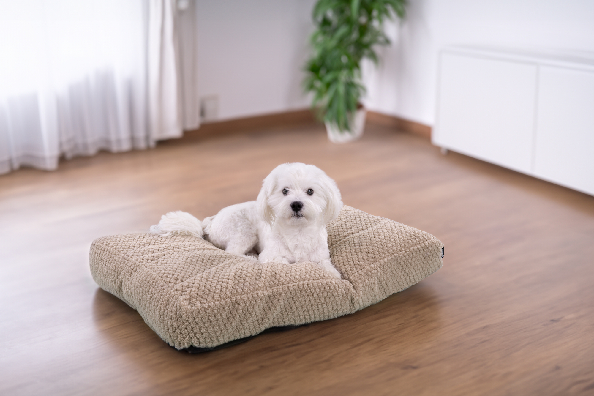 Flamingo Coussin Jacquard Rectangle Taupe