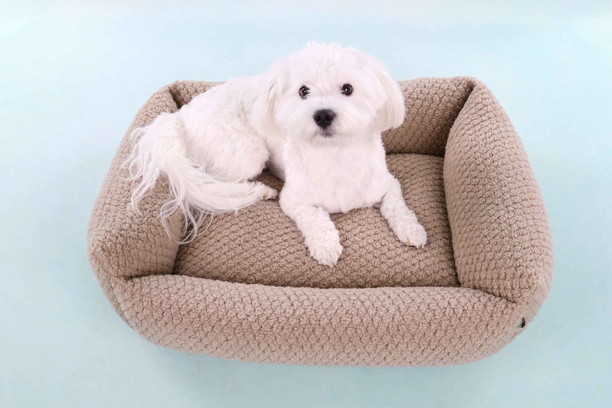 Flamingo Mand Jacquard Rechthoekig Taupe