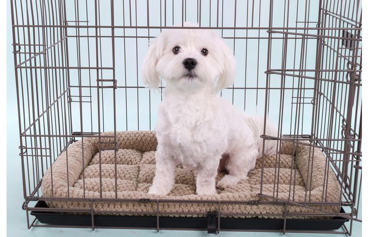 Flamingo Coussin Jacquard Rectangle Taupe