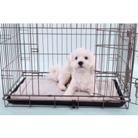 Flamingo Coussin Jacquard Rectangle Gris