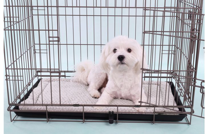 Flamingo Cushion Jacquard Rectangle Grey