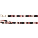Leash Tabor Mix