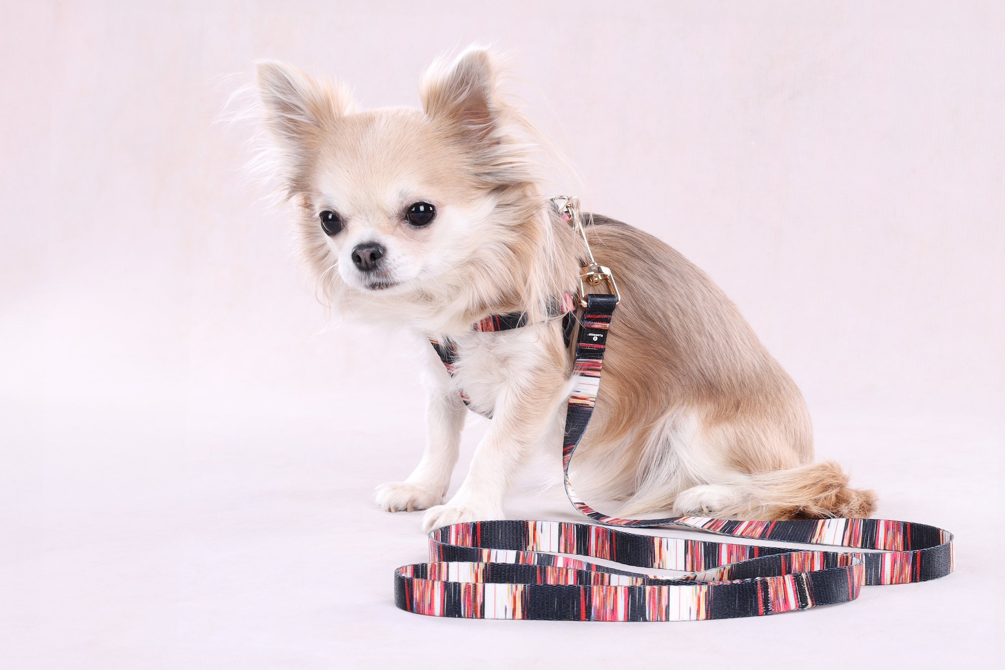Flamingo Harness Step&Go Tabor Mix