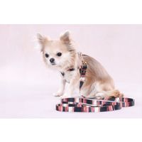 Flamingo Harness Step&Go Tabor Mix
