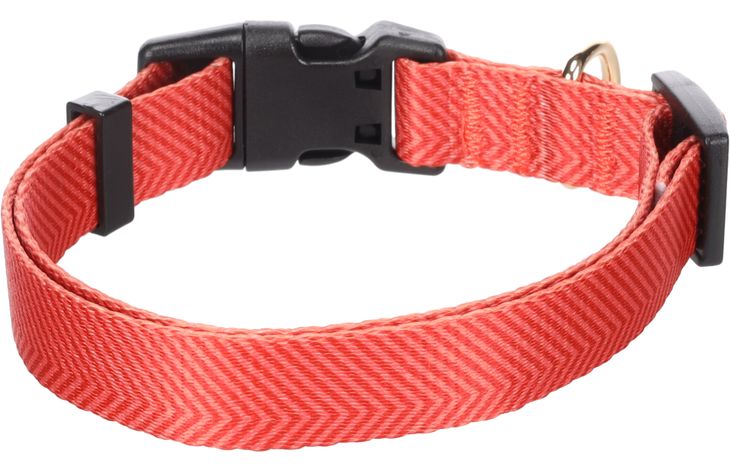 Flamingo Collar Noekie Orange