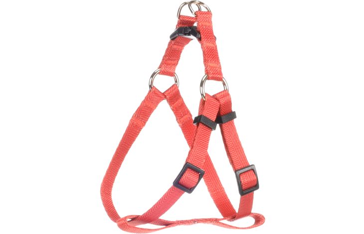 Flamingo Pettorina Step&Go Noekie Arancio