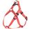 Harness Step&Go Noekie Orange