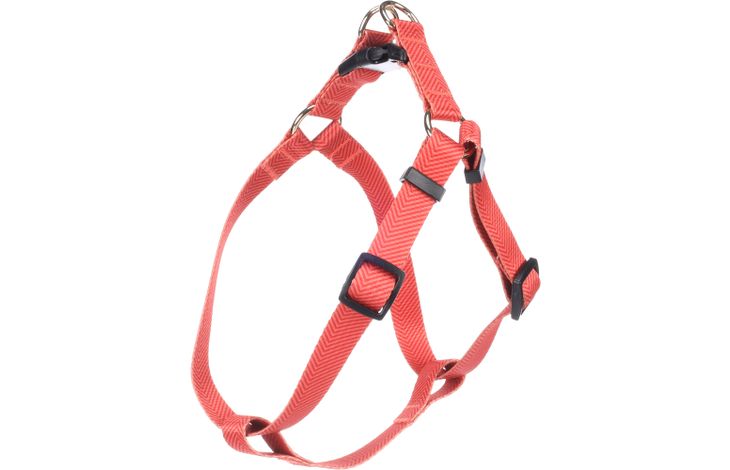 Flamingo Pettorina Step&Go Noekie Arancio