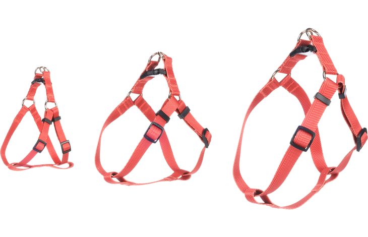 Flamingo Pettorina Step&Go Noekie Arancio