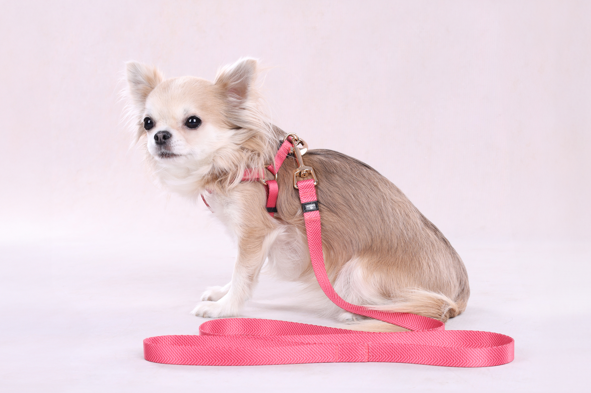 Flamingo Pettorina Step&Go Noekie Rosa