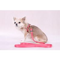 Flamingo Pettorina Step&Go Noekie Rosa