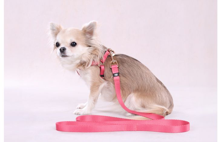 Flamingo Pettorina Step&Go Noekie Rosa